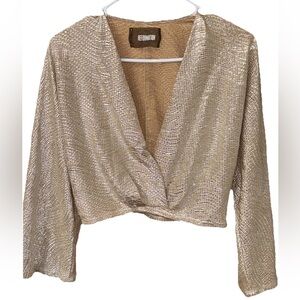 Reformation rare Gold Silver Shiny Metallic Long Sleeve V-neck Crop Top Blouse S